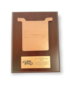 GALVANO CÁTODO DE RESINA CON LOGO SOBRE RELIEVE SIMPUCV PLACA GRABADA