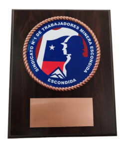 GALVANO PLACA METÁLICA CON LOGO SINDICATO EN COLOR, Y CORDÓN 3D COBRIZADO, PLACA GRABADA
