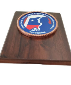 Alternative view of GALVANO PLACA METÁLICA CON LOGO SINDICATO EN COLOR, Y CORDÓN 3D COBRIZADO, PLACA GRABADA