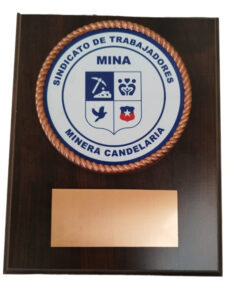GALVANO PLACA METÁLICA CON LOGO SINDICATO EN COLOR, Y CORDÓN 3D COBRIZADO, PLACA GRABADA