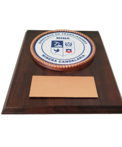 Alternative view of GALVANO PLACA METÁLICA CON LOGO SINDICATO EN COLOR, Y CORDÓN 3D COBRIZADO, PLACA GRABADA